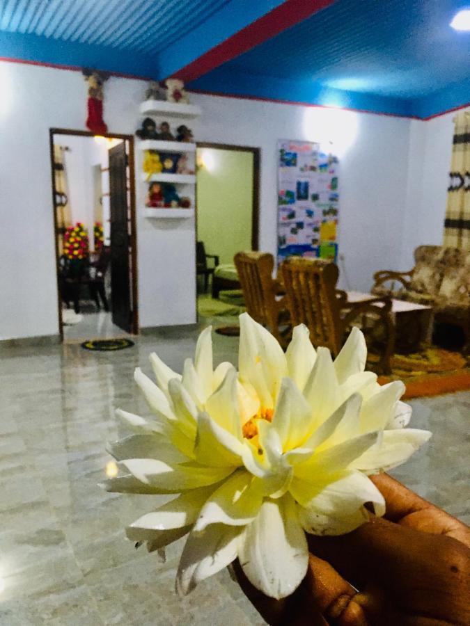 Adisham Village Home Beragala 外观 照片