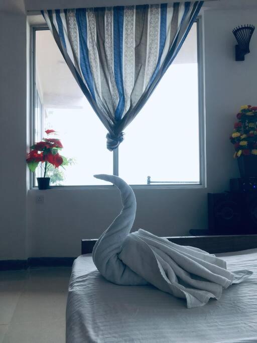 Adisham Village Home Beragala 外观 照片