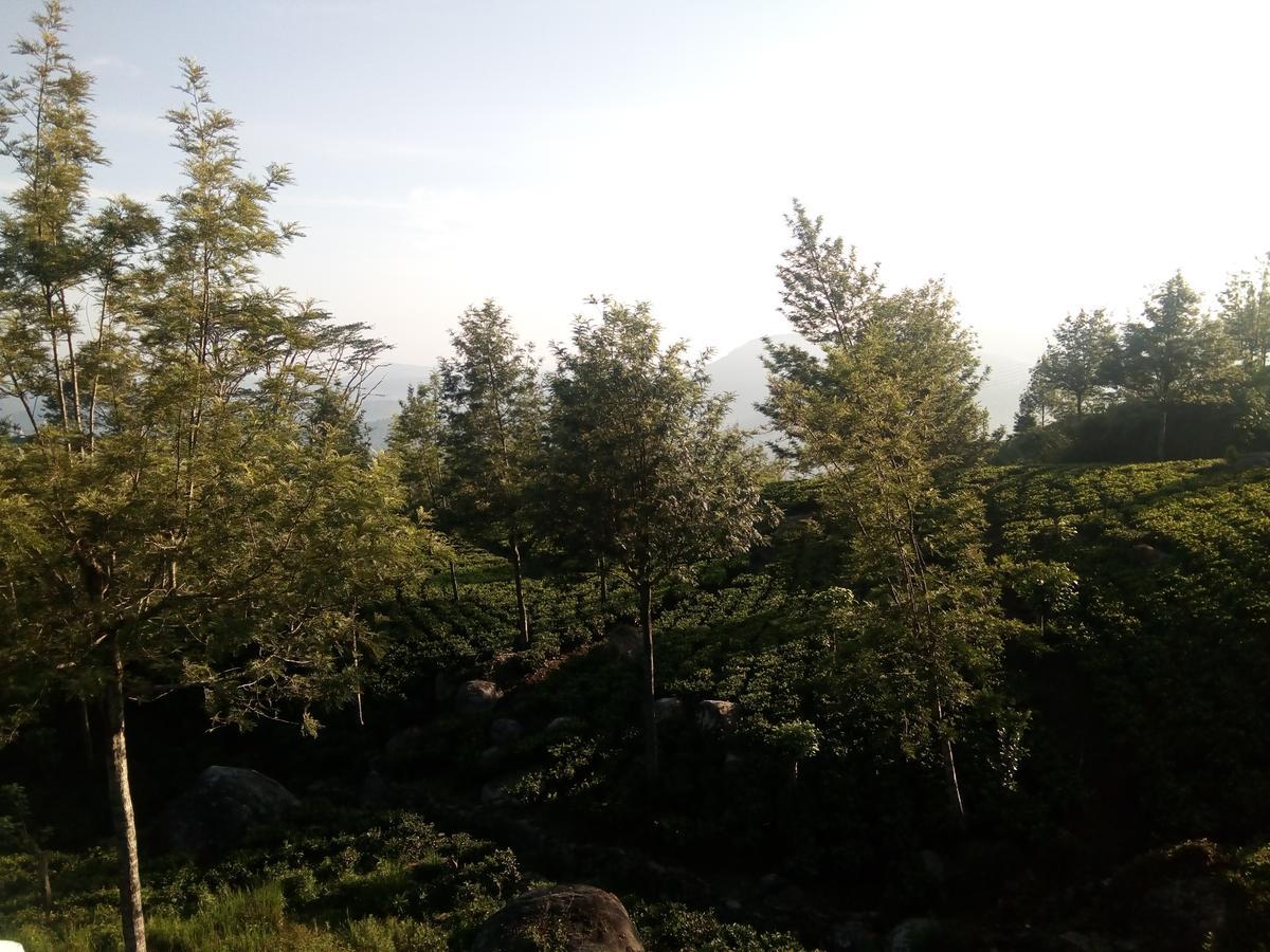 Adisham Village Home Beragala 外观 照片